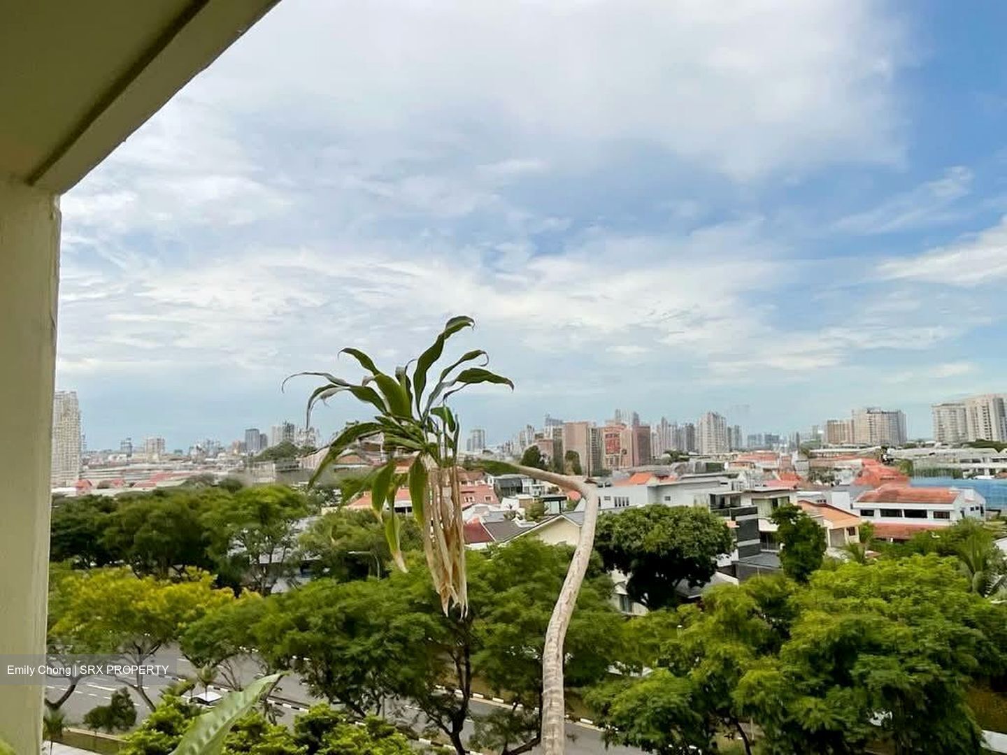 Blk 203 Bishan Street 23 (Bishan), HDB 4 Rooms #543071461